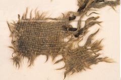 Foto von Textil (NHMW-PRAE-126320)
